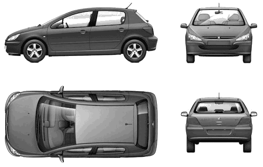 Bil Peugeot 307 5-Door 2004